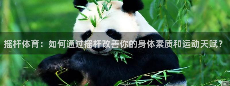 xc体育：摇杆体育：如何通过摇杆改善你的身体素质和运动天赋？