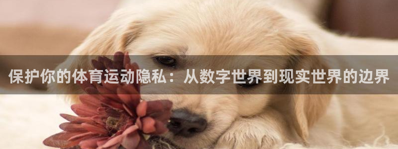 xc体育app官方网站：保护你的体育运动隐私：从数字世界到现实世界的边界