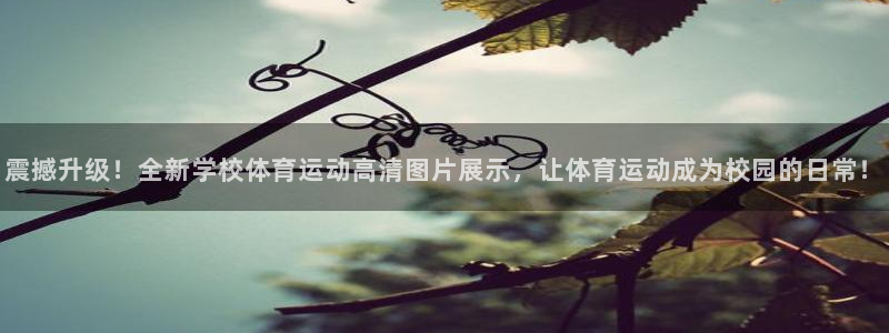 xc体育app官方网站：震撼升级！全新学校体育运动高清图片展示，让体育运动成为校园的日常！