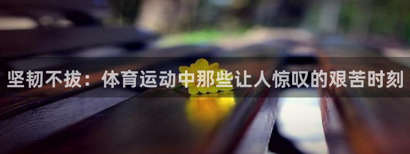 xc体育app官方网站：坚韧不拔：体育运动中那些让人惊叹的艰苦时刻