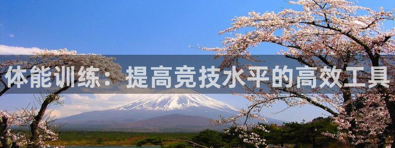 xc体育：体能训练：提高竞技水平的高效工具