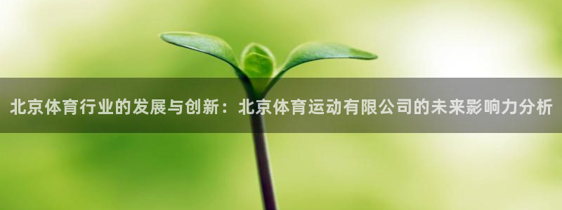 xc体育：北京体育行业的发展与创新：北京体育运动有限公司的未来影响力分析