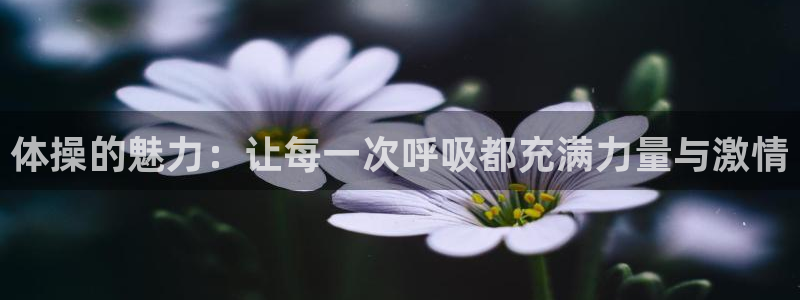 xc体育app官方网站：体操的魅力：让每一次呼吸都充满力量与激情